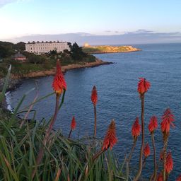 2012-10-20 17.46.38.jpg